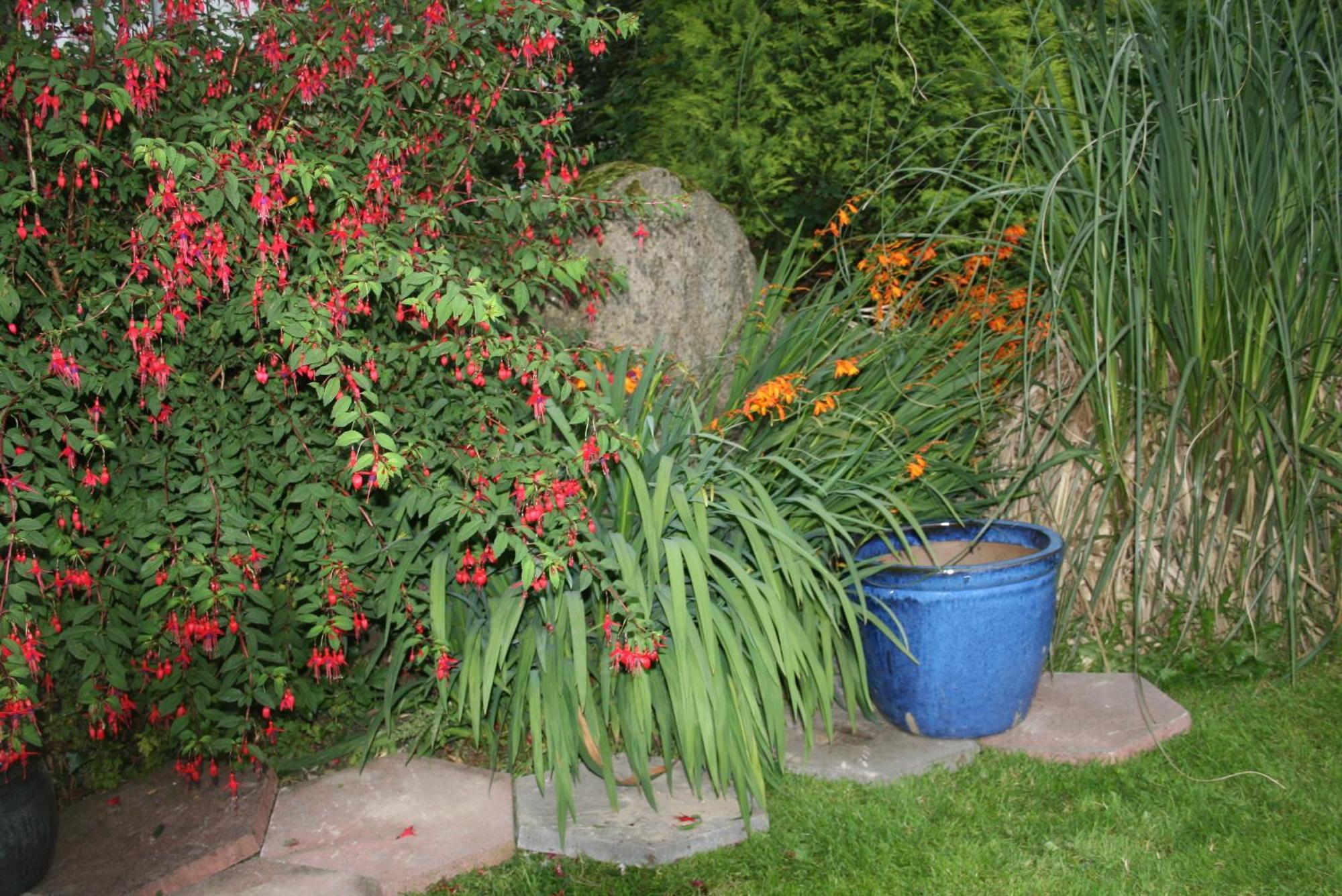 Dunaree Bed And Breakfast Bunratty Kültér fotó